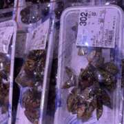 ヒメ日記 2026/02/10 20:14 投稿 るい スイカ