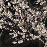 ヒメ日記 2026/02/21 16:01 投稿 るい スイカ