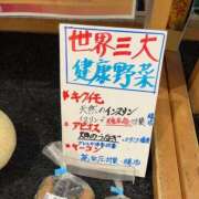 ヒメ日記 2026/02/27 15:00 投稿 るい スイカ