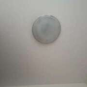 ヒメ日記 2026/03/02 12:00 投稿 るい スイカ