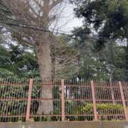 ヒメ日記 2026/03/02 15:32 投稿 るい スイカ