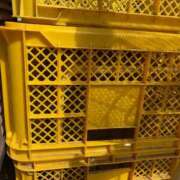 ヒメ日記 2026/03/16 12:46 投稿 るい スイカ