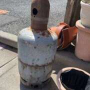 ヒメ日記 2026/03/19 18:14 投稿 るい スイカ