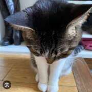 ヒメ日記 2026/03/21 22:13 投稿 るい スイカ