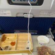 ヒメ日記 2026/03/27 15:05 投稿 るい スイカ