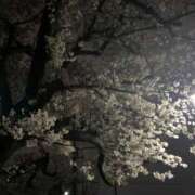 ヒメ日記 2026/03/31 16:43 投稿 るい スイカ