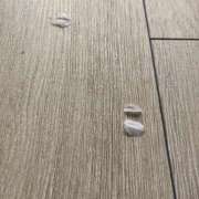 ヒメ日記 2026/04/05 12:03 投稿 るい スイカ