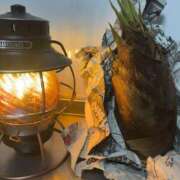 ヒメ日記 2026/04/16 18:15 投稿 るい スイカ