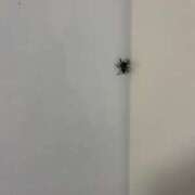 ヒメ日記 2026/04/17 15:07 投稿 るい スイカ