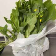 ヒメ日記 2026/04/21 17:14 投稿 るい スイカ