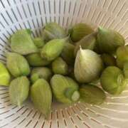 ヒメ日記 2026/04/22 16:18 投稿 るい スイカ