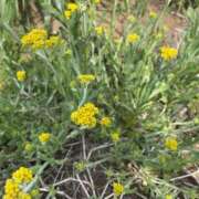 ヒメ日記 2026/04/22 21:54 投稿 るい スイカ