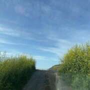 ヒメ日記 2026/04/29 17:08 投稿 るい スイカ