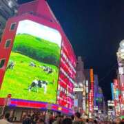ヒメ日記 2026/05/18 21:07 投稿 るい スイカ