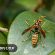 ヒメ日記 2026/07/28 22:39 投稿 るい スイカ