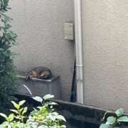 ヒメ日記 2026/10/09 20:17 投稿 るい スイカ