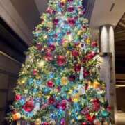 ヒメ日記 2025/11/25 16:07 投稿 ゆりの CLUB虎の穴 青山店