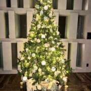 ヒメ日記 2025/12/03 18:38 投稿 ゆりの CLUB虎の穴 青山店