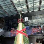 ヒメ日記 2024/12/23 13:30 投稿 みいこ 奥鉄オクテツ東京店（デリヘル市場）