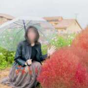 ヒメ日記 2025/11/09 15:30 投稿 みいこ 奥鉄オクテツ東京店（デリヘル市場）