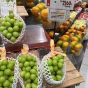 ヒメ日記 2026/09/28 12:20 投稿 みいこ 奥鉄オクテツ東京店（デリヘル市場）