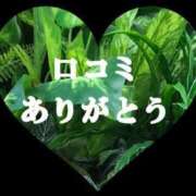 ヒメ日記 2024/06/16 10:07 投稿 らん 福島飯坂ちゃんこ