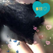 ヒメ日記 2025/06/25 09:16 投稿 天咲澪 五十路マダム 郡山店