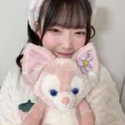 ヒメ日記 2025/12/31 00:59 投稿 にいな 君を舐めたくて学園