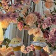 ヒメ日記 2025/07/04 17:01 投稿 にいな まだ舐めたくて学園渋谷校〜舐めたくてグループ〜