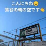ヒメ日記 2025/02/06 15:15 投稿 桃山 おふくろ