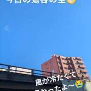 ヒメ日記 2025/02/11 23:12 投稿 桃山 おふくろ