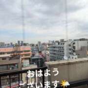 ヒメ日記 2025/02/12 09:50 投稿 桃山 おふくろ