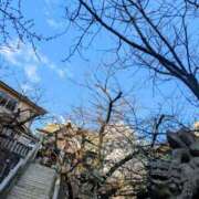 ヒメ日記 2025/02/17 16:31 投稿 桃山 おふくろ