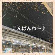 ヒメ日記 2025/03/04 21:27 投稿 桃山 おふくろ
