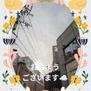 ヒメ日記 2025/03/12 08:46 投稿 桃山 おふくろ