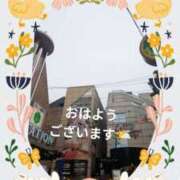 ヒメ日記 2025/03/28 09:09 投稿 桃山 おふくろ