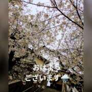 ヒメ日記 2025/03/29 09:01 投稿 桃山 おふくろ