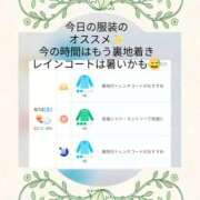 ヒメ日記 2025/04/12 08:29 投稿 桃山 おふくろ