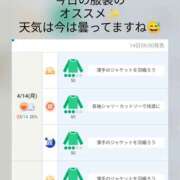 ヒメ日記 2025/04/14 07:53 投稿 桃山 おふくろ