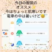 ヒメ日記 2025/04/15 07:48 投稿 桃山 おふくろ