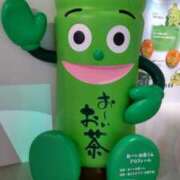 ヒメ日記 2025/02/13 10:24 投稿 弥生 プチマドンナ