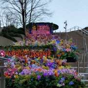 ヒメ日記 2025/04/24 08:14 投稿 弥生 プチマドンナ