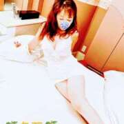 ヒメ日記 2024/12/21 17:33 投稿 ことか 熟女総本店