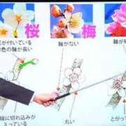 ヒメ日記 2025/03/23 21:25 投稿 ことか 熟女総本店