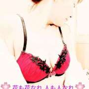 ヒメ日記 2025/04/19 10:25 投稿 ことか 熟女総本店