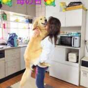 ヒメ日記 2025/05/11 20:15 投稿 ことか 熟女総本店