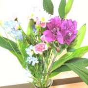 ヒメ日記 2025/05/31 19:55 投稿 ことか 熟女総本店