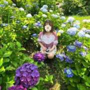 ヒメ日記 2025/06/19 09:22 投稿 ことか 熟女総本店