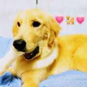 ヒメ日記 2025/06/27 11:16 投稿 ことか 熟女総本店