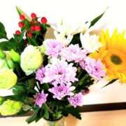 ヒメ日記 2025/07/01 19:12 投稿 ことか 熟女総本店